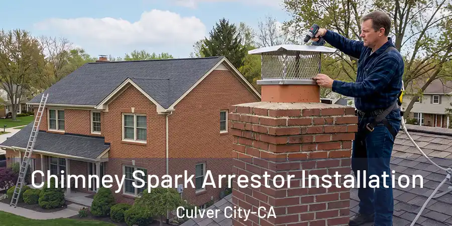  Chimney Spark Arrestor Installation Culver City-CA
