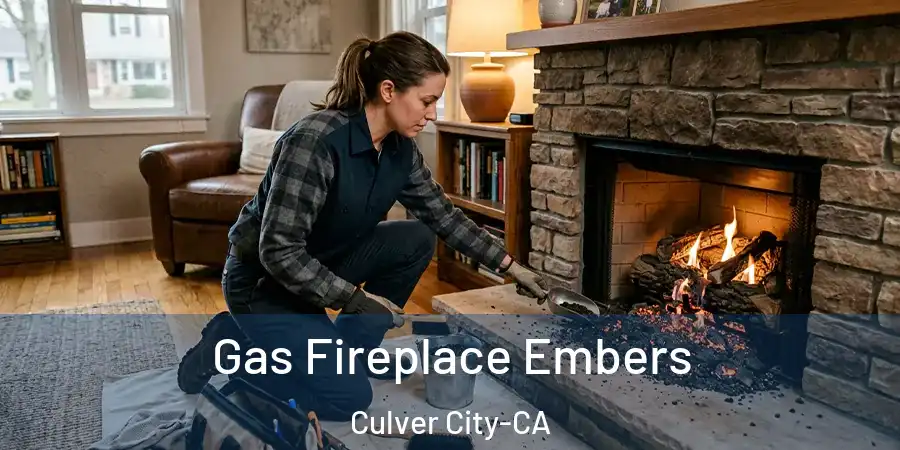  Gas Fireplace Embers Culver City-CA